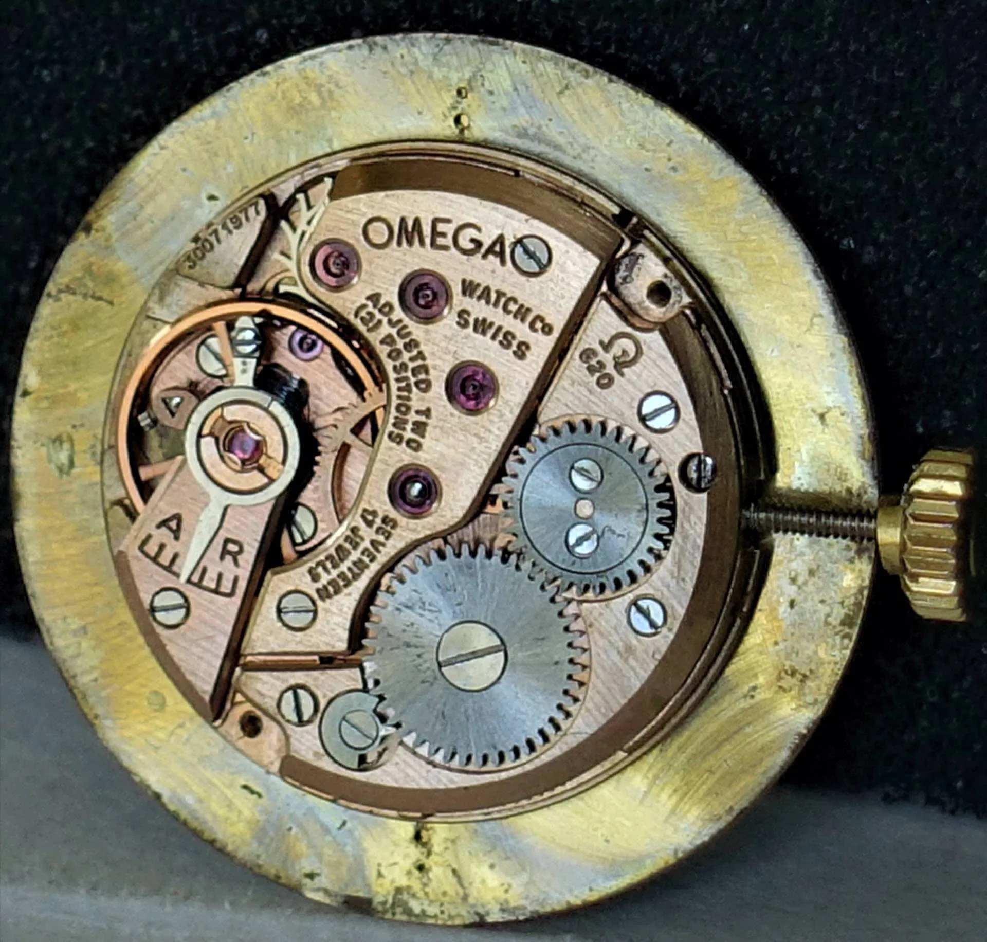Omega Uhrwerk mechanisch Mechanisches Omega Uhrwerk mit sichtbaren Zahnrädern und goldfarbener Krone.