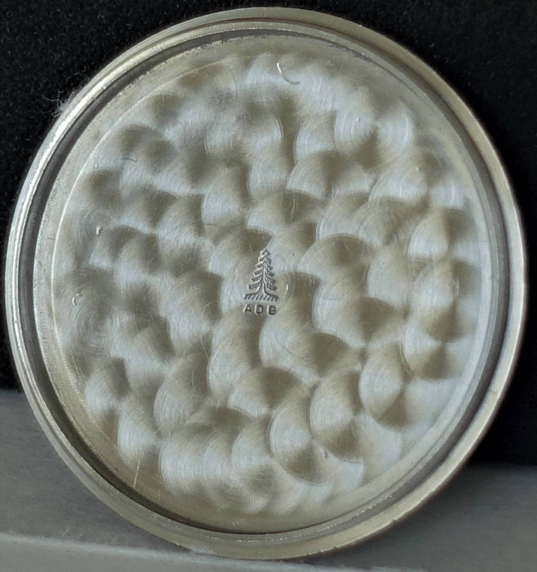 Detailaufnahme eines Metallbeschlags mit strukturiertem Design und Logo