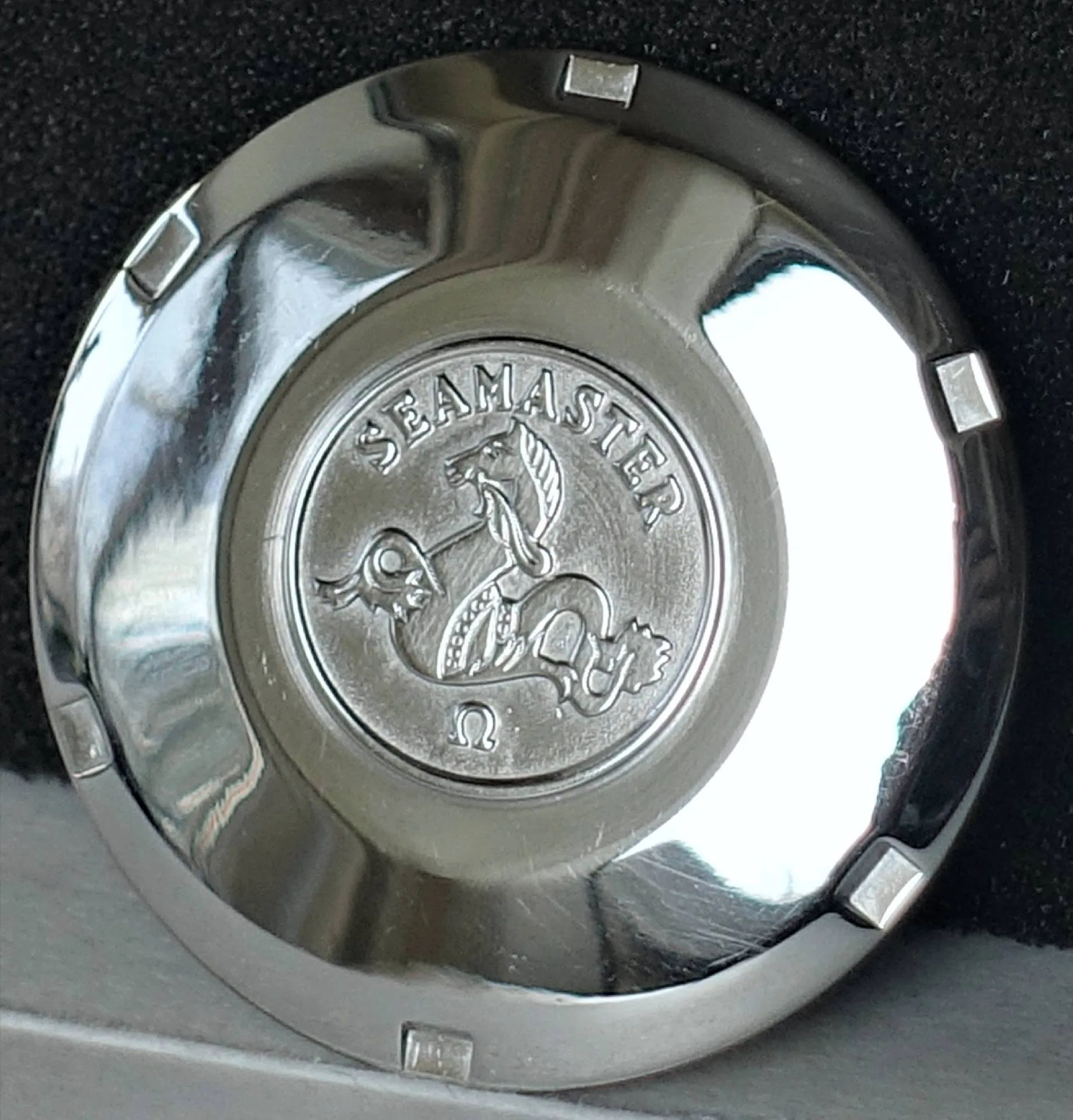 Gehäuseboden silberfarben Seamaster Silberfarbener Gehäuseboden mit Seamaster-Prägung und Seepferdchen-Motiv.